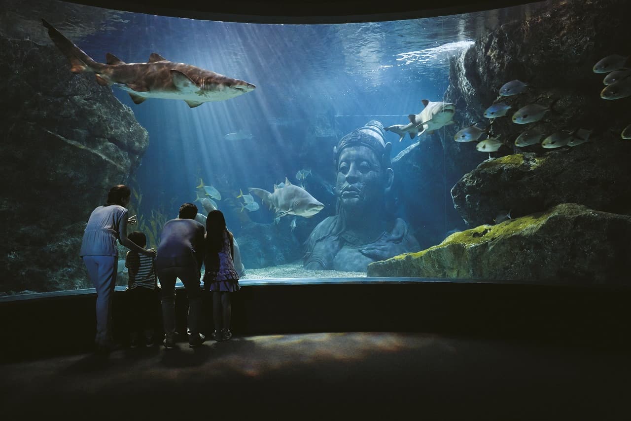 SEA LIFE Bangkok Ocean World Ticket - image 2